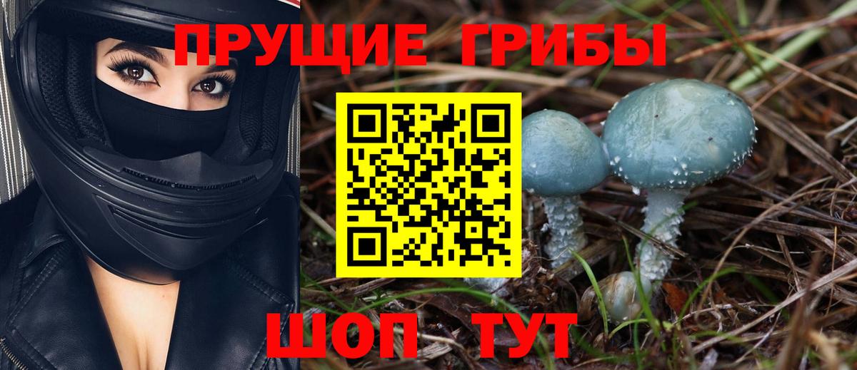 Псилоцибиновые грибы MAGIC MUSHROOMS Урус-Мартан